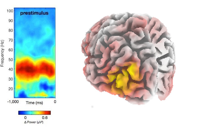 Results from an EEG based Brain-Computer Interface Training using gamma band activity in the lateral occipital cortex